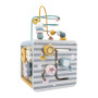 Бізікуб дерев'яний Viga Toys PolarB 5 в 1 (44030)