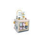 Бізікуб дерев'яний Viga Toys PolarB 5 в 1 (44030)